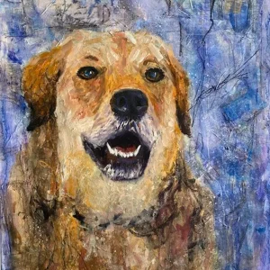 Portreti životinja, portreti, mješana tehnika, akril, kolaž, ulje na platnu.